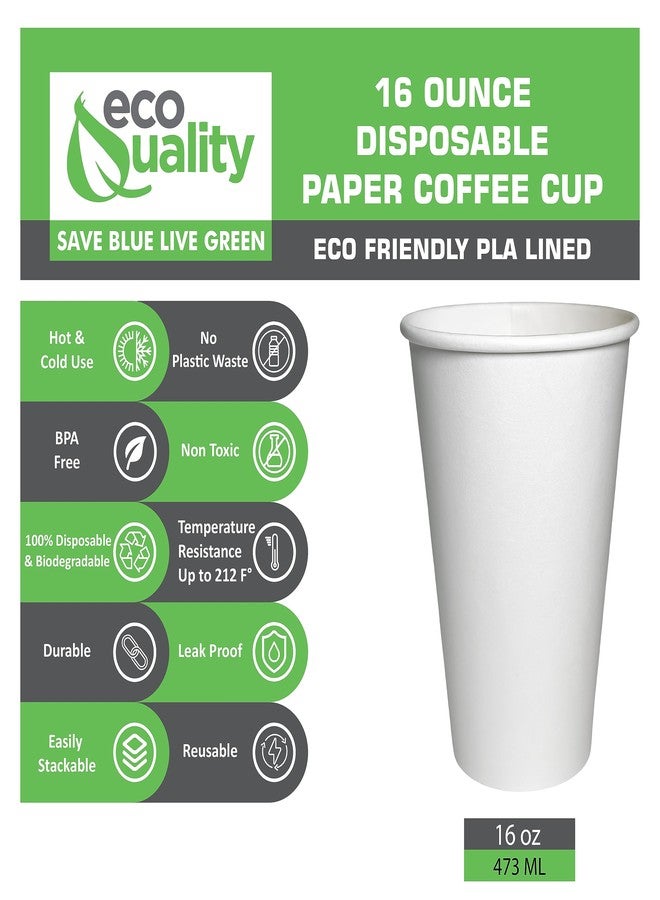 EcoQuality 16oz White Paper Coffee Cups - Disposable Coffee Cups - Hot Drink, Tea, Coffee, Cappuccino, Hot Chocolate, Chai, Chai Latte (50) - Image 2
